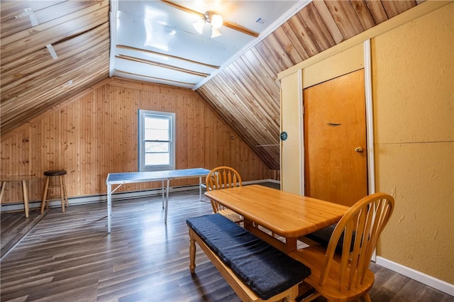 interior space featuring vaulted ceiling, dark hardwood / wood-style floors, and a baseboard radiator