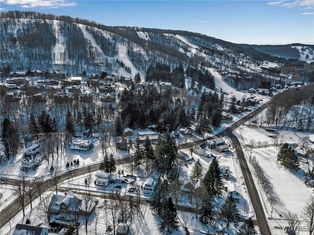 snowy aerial view with a mountain view