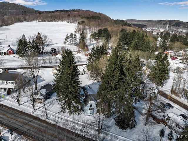 snowy aerial view with a mountain view