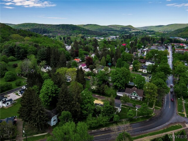 27-29 W Washington St, Ellicottville, NY 14731 - photo 49
