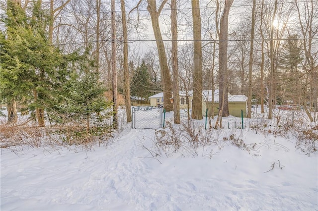 view of yard layered in snow