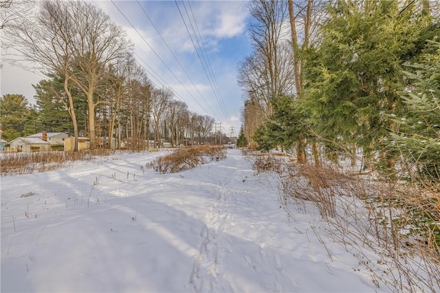 view of yard layered in snow