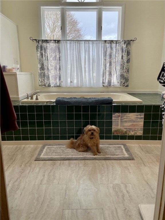bathroom featuring a bath and a healthy amount of sunlight
