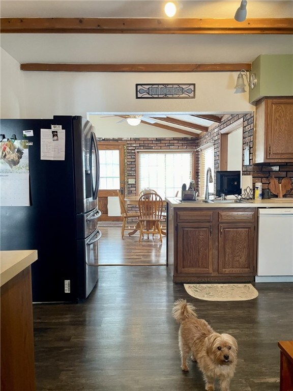 kitchen with dishwasher, dark wood-style flooring, freestanding refrigerator, and ceiling fan