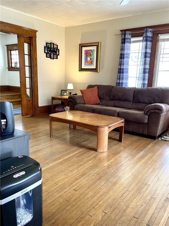 405 2nd Ave, Wayland, NY 14572 - living room featuring light wood finished floors, baseboards, and crown molding