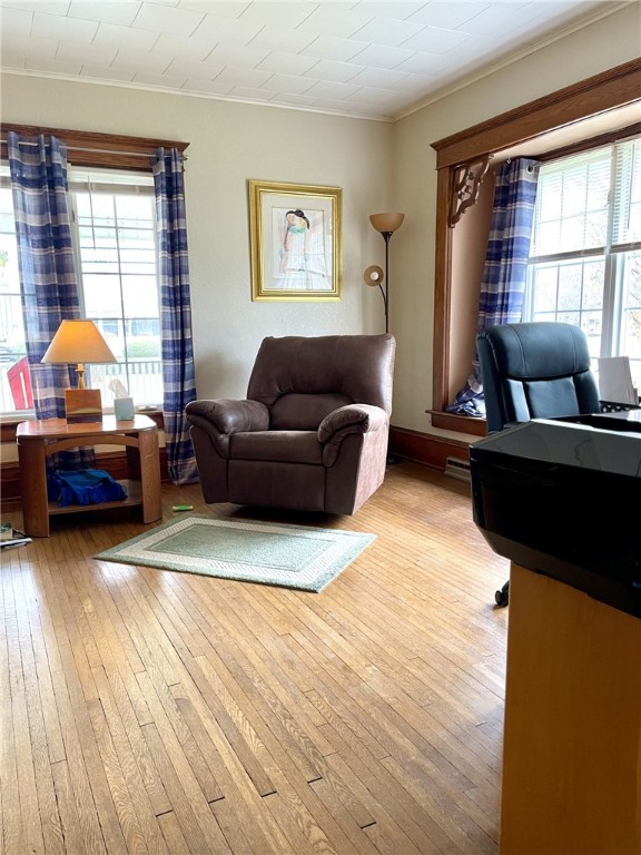 405 2nd Ave, Wayland, NY 14572 - office area with ornamental molding and wood-type flooring
