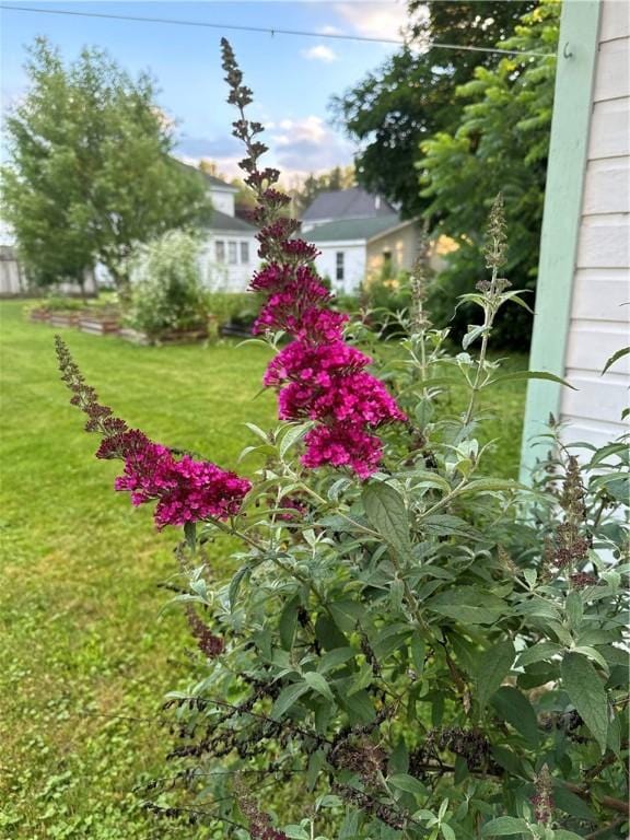 405 2nd Ave, Wayland, NY 14572 - view of green lawn