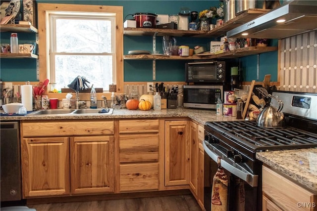 kitchen featuring dark hardwood / wood-style floors, sink, exhaust hood, light stone counters, and stainless steel appliances