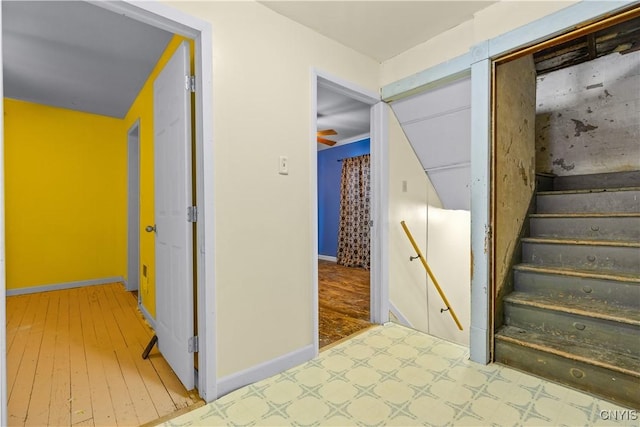 corridor with hardwood / wood-style floors