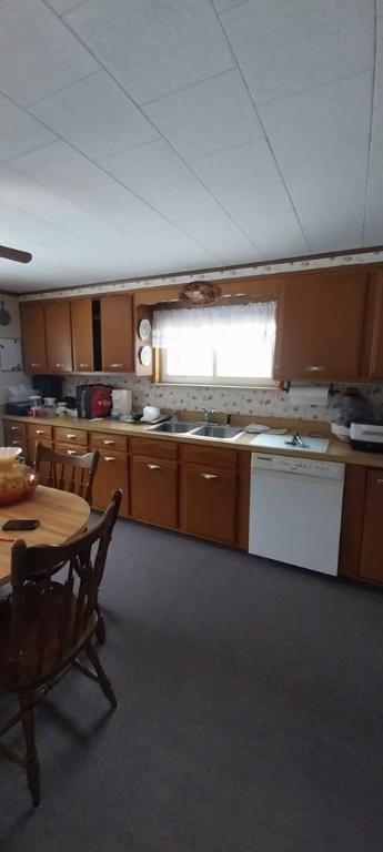 kitchen featuring ceiling fan, dishwasher, and sink