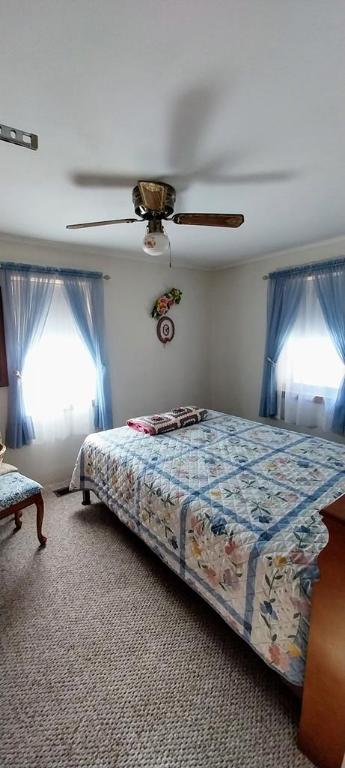 bedroom featuring carpet flooring and ceiling fan