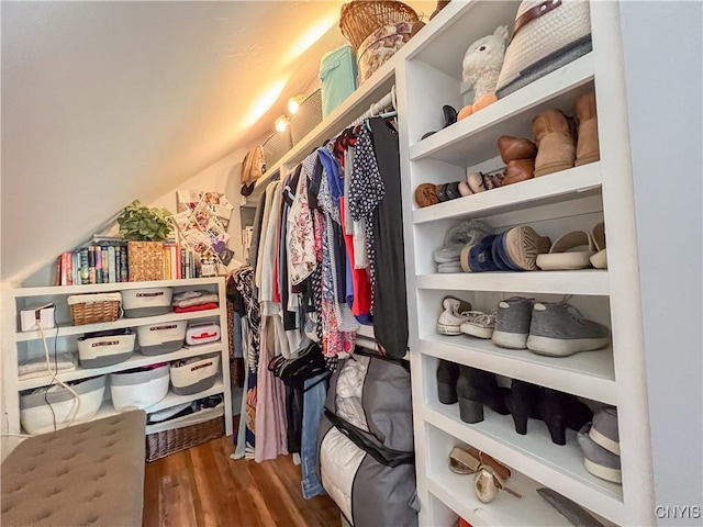 walk in closet featuring dark wood-type flooring