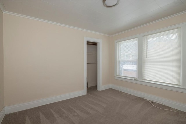 spare room with crown molding and carpet floors