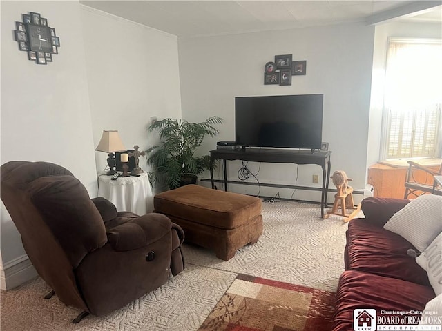 carpeted living room featuring a baseboard radiator and a healthy amount of sunlight