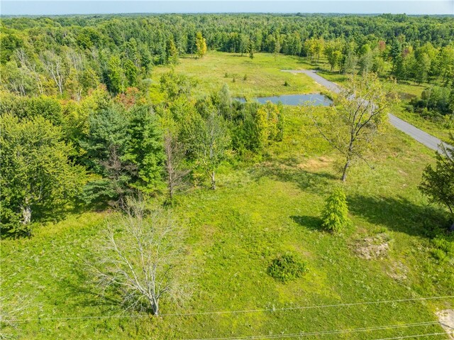 LOT11 Clevenger Rd, Ontario, NY 14519 - photo 3