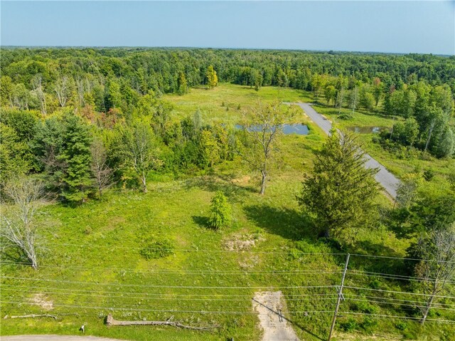 LOT11 Clevenger Rd, Ontario, NY 14519 - photo 5