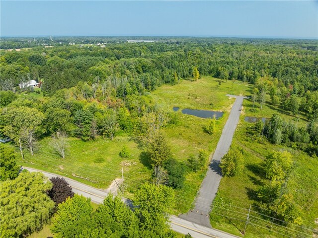 LOT11 Clevenger Rd, Ontario, NY 14519 - photo 7
