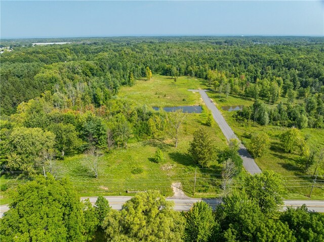 LOT11 Clevenger Rd, Ontario, NY 14519 - photo 8