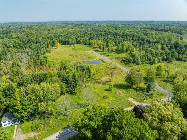 LOT11 Clevenger Rd, Ontario, NY 14519 - photo 9