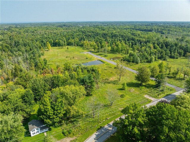 LOT11 Clevenger Rd, Ontario, NY 14519 - photo 10