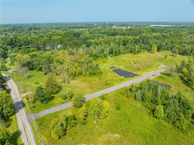 LOT11 Clevenger Rd, Ontario, NY 14519 - photo 12