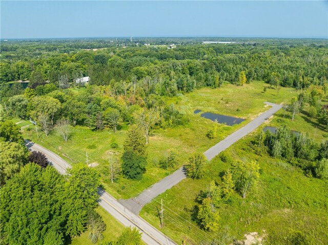 LOT11 Clevenger Rd, Ontario, NY 14519 - photo 13