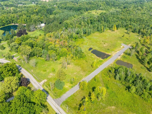 LOT11 Clevenger Rd, Ontario, NY 14519 - photo 14