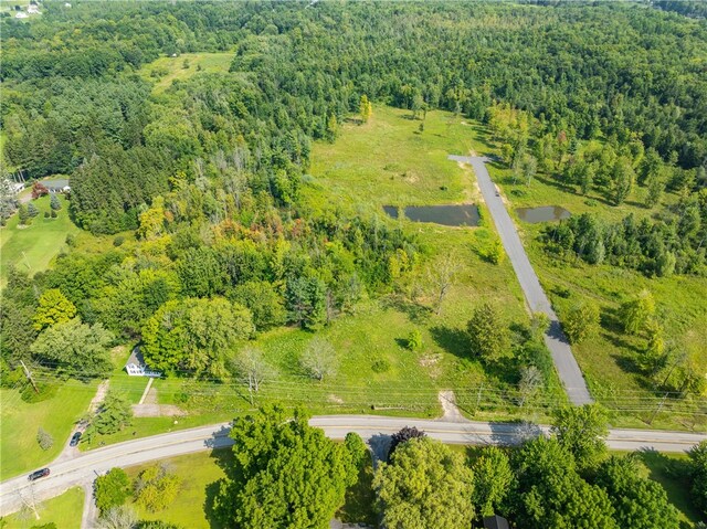 LOT11 Clevenger Rd, Ontario, NY 14519 - photo 15