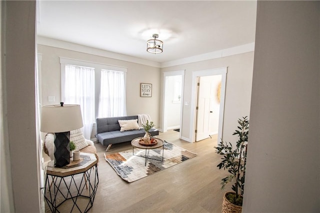 living room featuring light hardwood / wood-style floors