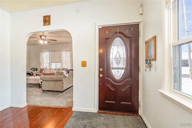 foyer entrance featuring ceiling fan, wood-type flooring, and a wealth of natural light