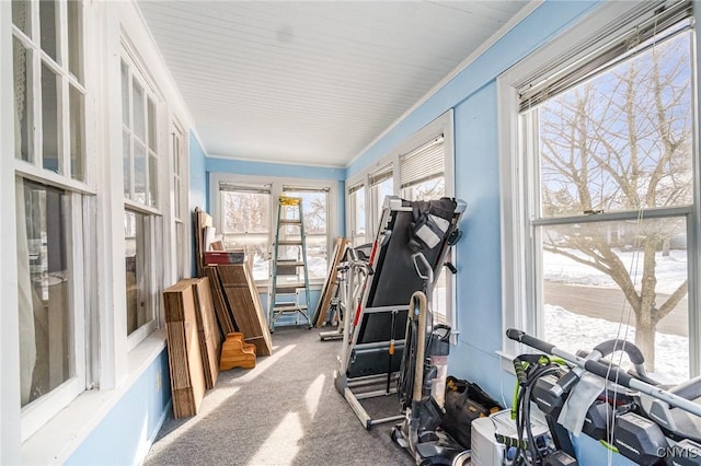 exercise area with a healthy amount of sunlight, carpet floors, and ornamental molding