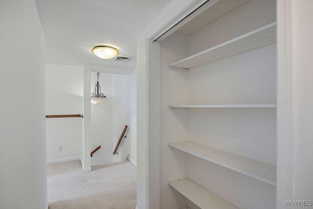 2202 River Rd, Wheatfield, NY 14304 - walk in closet featuring carpet floors