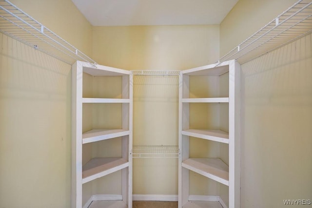 2202 River Rd, Wheatfield, NY 14304 - view of spacious closet
