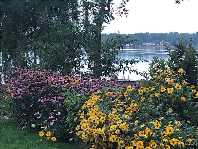 2202 River Rd, Wheatfield, NY 14304 - water view