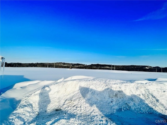 view of yard layered in snow