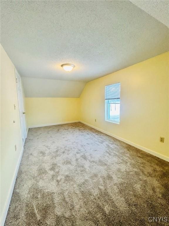 additional living space with vaulted ceiling, a textured ceiling, and carpet