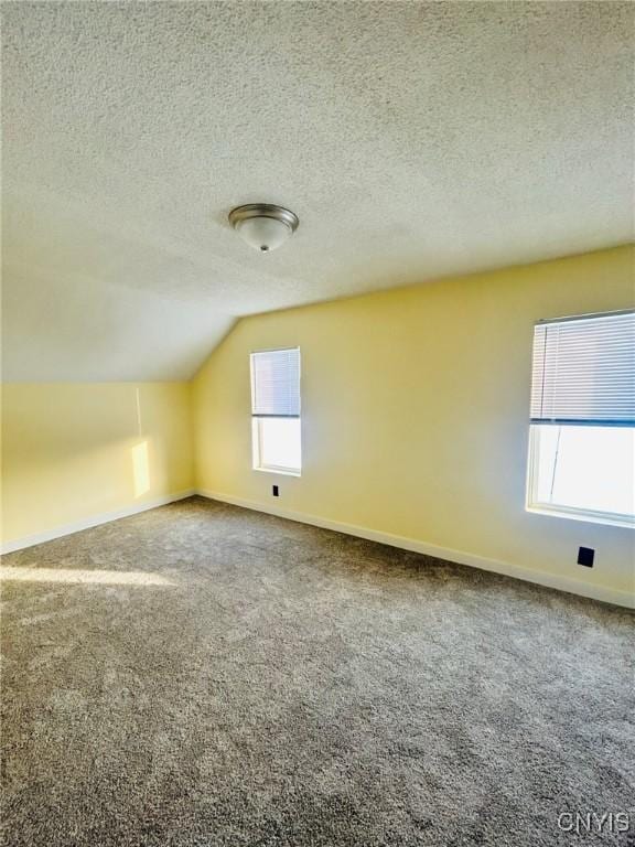 additional living space with vaulted ceiling, carpet, and a textured ceiling