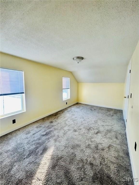 additional living space with lofted ceiling, carpet, and a textured ceiling