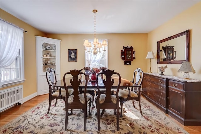 dining space with radiator, an inviting chandelier, and light wood-type flooring