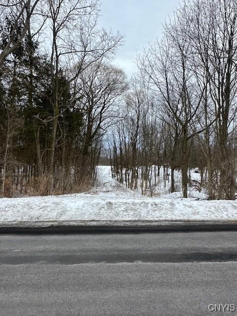 10896 Baker Rd, Cato NY, 13166 land for sale