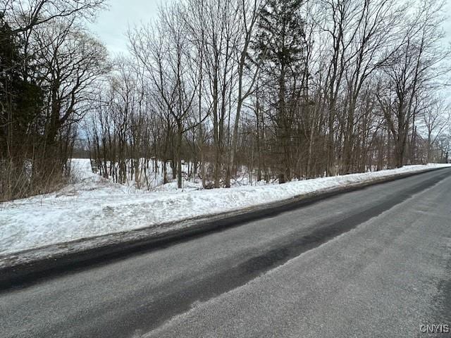 10896 Baker Rd, Cato, NY 13166