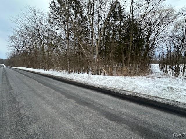 10896 Baker Rd, Cato, NY 13166