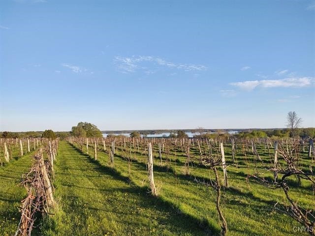 view of yard featuring a rural view