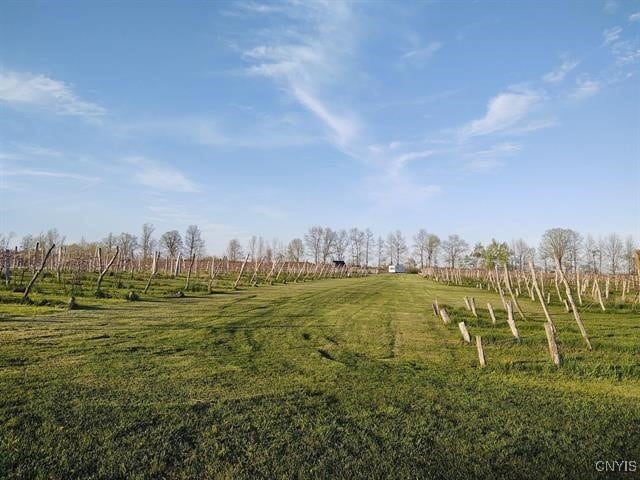 view of property's community featuring a rural view and a lawn