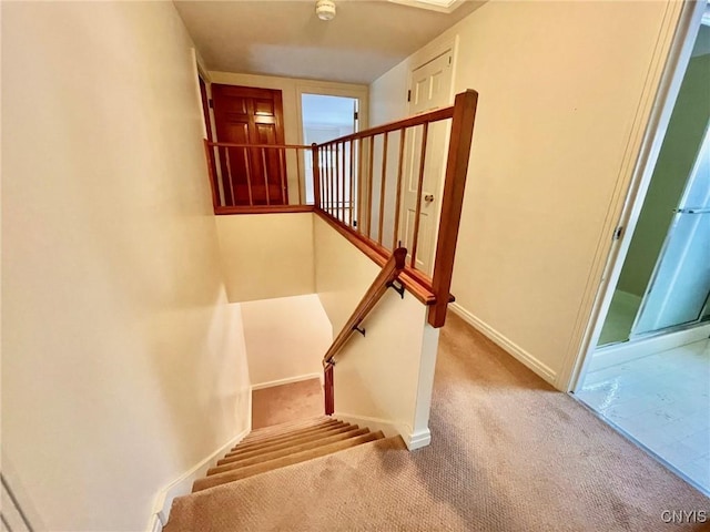 stairs featuring carpet flooring