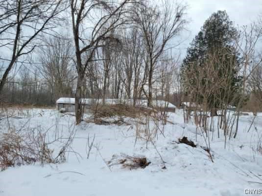 view of yard covered in snow