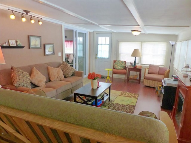 3049 Huggins Rd, Orange, NY 14815 - living area with wood finished floors, beamed ceiling, and rail lighting
