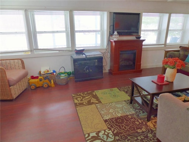 living room featuring hardwood / wood-style flooring