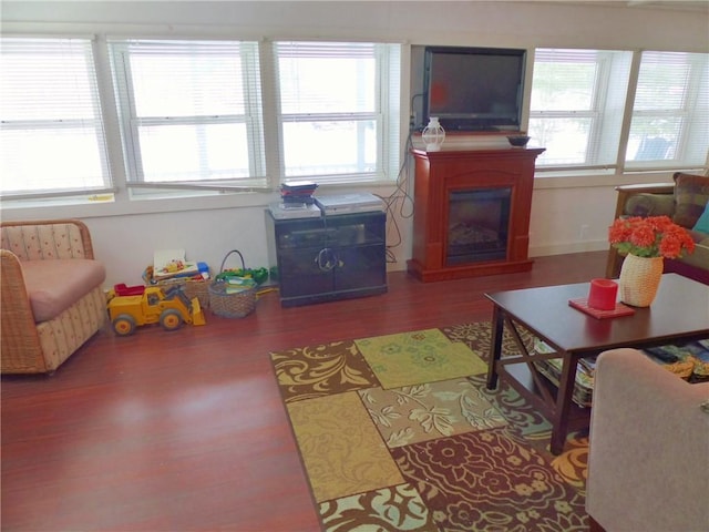 3049 Huggins Rd, Orange, NY 14815 - living room featuring wood finished floors and a glass covered fireplace