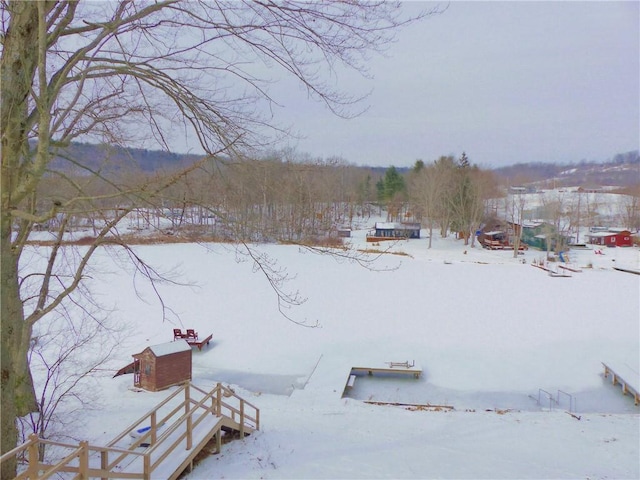 view of snowy yard